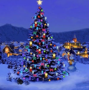 Meet your Posher, Divianshi